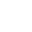 globe_icon